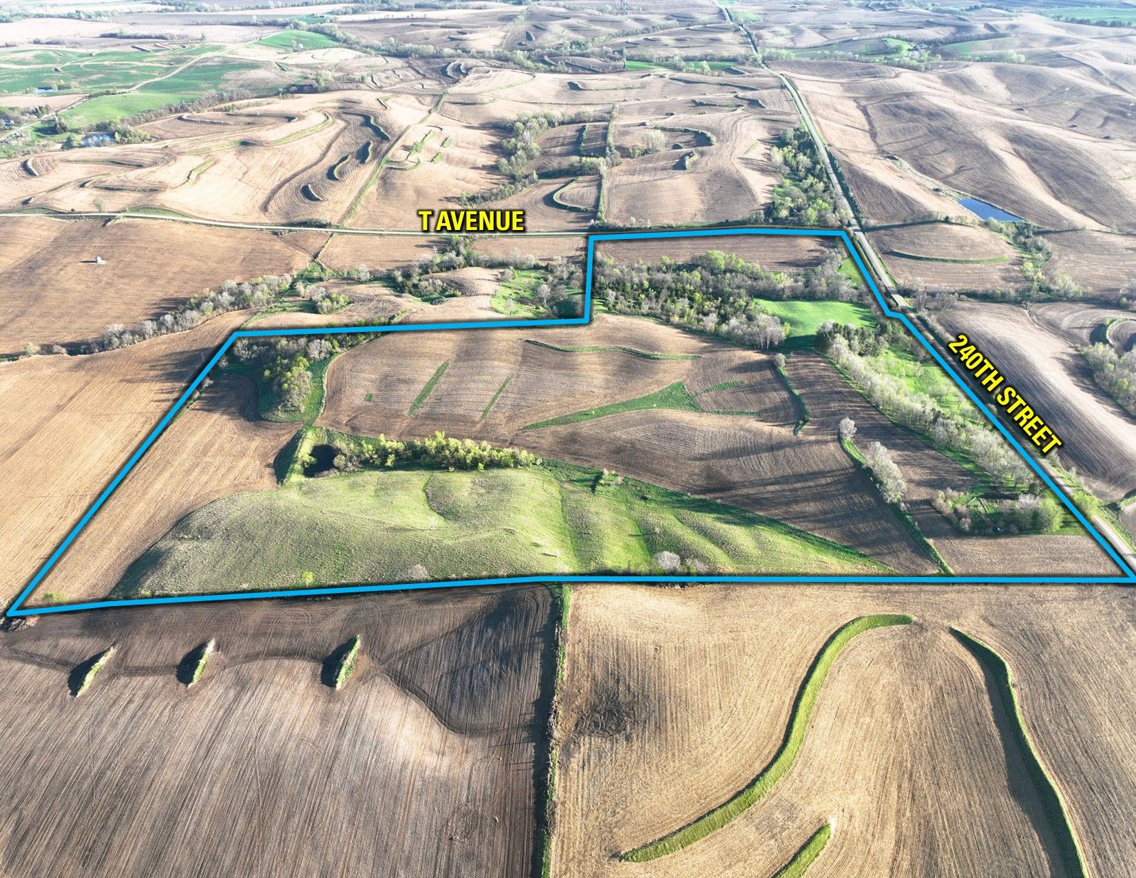 Listing Photo: Drone Outline S